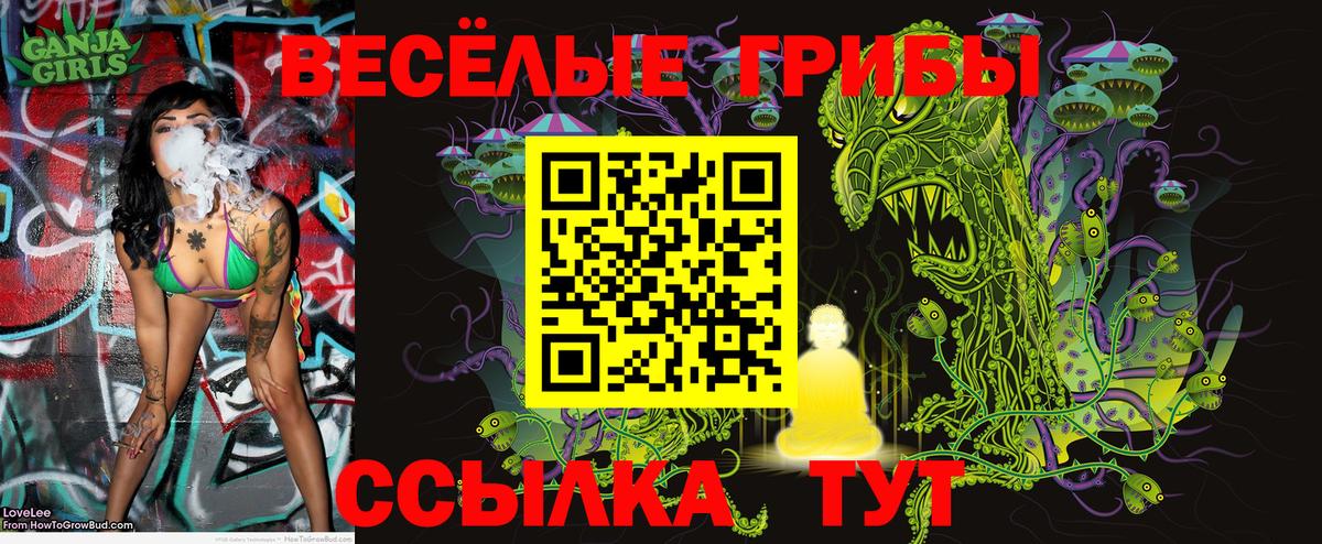 Псилоцибиновые грибы мицелий  Галлюциногенные грибы Cubensis  Нерюнгри  Вход с VPN 