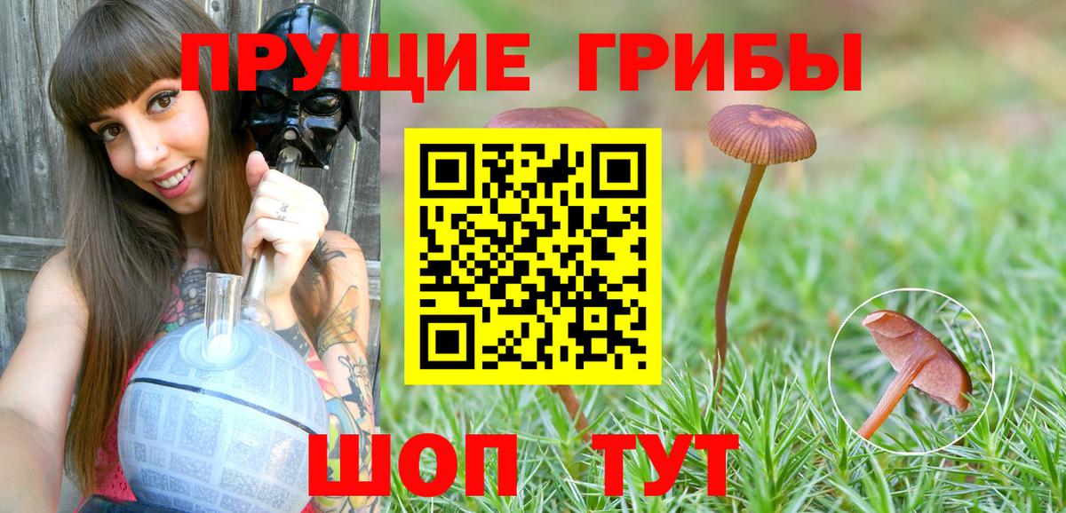 Псилоцибиновые грибы ЛСД Нерюнгри